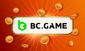Understanding BC.Game KYC Verification A Comprehensive Guide Understanding BC.Game KYC Verification A Comprehensive Guide