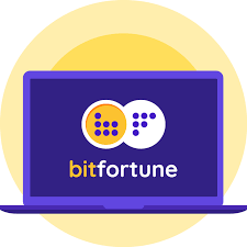 Understanding Bitfortune Digital Asset Payments -1307982355